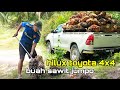 toyota hilux muat sawit bawa 2 ton