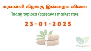 இன்றைய மரவள்ளி கிழங்கு விலை நிலவரம் | today tapioca point rate | 23.01.2025