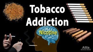 Tobacco Addiction: Nicotine and Other Factors, Animation