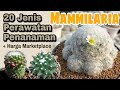 20 Jenis Kaktus Mammilaria | perawatan + Penanaman