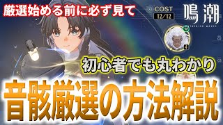 【鳴潮】効率的な音骸厳選の解説、付与ステータスの付き方、話題の44111など初心者の人でも分かるように解説します【Wuthering Waves】#鳴潮 #プロジェクトWAVE