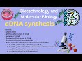 cDNA Synthesis Protocol by Reverse Transcription | Construction of recombinant cDNA from mRNA