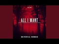 All I Want (feat. TheNamless)