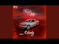 MEGA FUNK - MEGA HITS DO TIK TOK