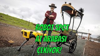 Boston Dynamics' robot Spot pulls a custom-built carriage!