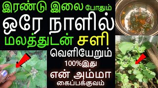 இரண்டு இலை போது ஒரே நாளில் சளி வெளியேறும் | sali irumal vaithiyam | home remedies for cold | cold