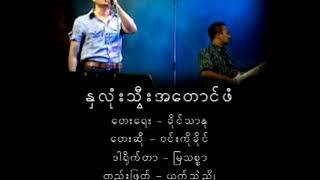 နှလုံးသွီးအတောင်ဖံ - ဝင်းကိုခိုင်