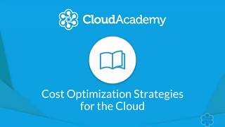 Cost Optimization Strategies for the Cloud