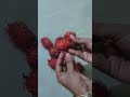 Rambutan fruit#tasty #shorts#mustwatch