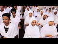 eritrean orthodox tewahdo mezmur ማርያም ኣደ ጎይታ