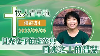 日光之下的虛空與日光之上的智慧│傳道書4│20230905牧人青草地│EP513