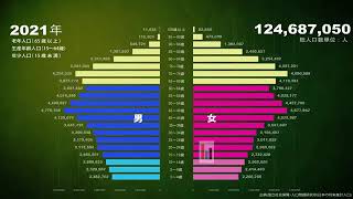日本の年次・性・年齢別人口ピラミッド