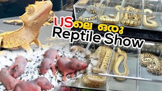 US -ലെ ഒരു Reptile Show||Reptile show in US||Anu Living Vids||Malayalam vlogging||USA vlog