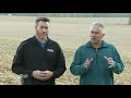 terminating cover crops farm basics