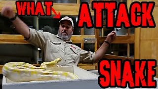 When Snakes Attack - Jay's Reaction is PRICELESS