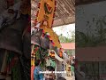 ആരാ മോനെ ആ വന്ന് നിൽക്കണത് viral elephat keralafestival pooramvibes