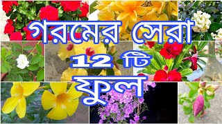 গরমের সেরা 12 টি ফুল|| গরমে কি কি ফুল গাছ লাগাব || গরমের সেরা ফুল