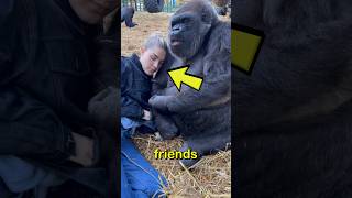 Gorilla Best Friend