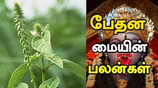 பேதன மையின் பலன்கள் மற்றும் செய்யும் முறை - vasiyam sarvalogam - manthrigam