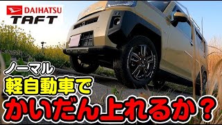 ダイハツ タフト 軽でも階段上れるのか？ノーマルでチャレンジ　＃タフト　＃TAFT　＃SUV