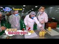 【請問今晚住誰家】ep440 奶爸們挑戰切水果 全能竇哥切水果竟卡關 車神ㄚ輝拖板車初體驗？！竇智孔、黃鐙輝、楊奇煜 週一至週四晚間9點 東森超視33頻道