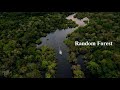Decision Tree and Random Forest Using Python