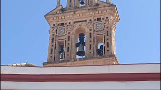 Volteo de las campanas en el Convento Santa Isabel y el Monasterio de Santa Paula, @Nilo_campanero