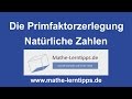 Die Primfaktorzerlegung  - mathe-lerntipps.de