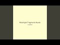 Moonlight Fragments Mystic