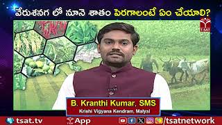 వేరుశనగ లో నూనె శాతం పెరగాలంటే ఏం చేయాలి ? || T-SAT