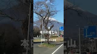 【本日の富士山】11.24 #shorts