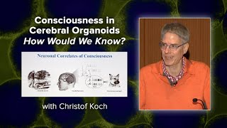 Consciousness in Cerebral Organoids - How Would We Know? with Christof Koch