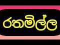 කඩොලාන ශාක විශේෂ ගැන විස්තර kadolana shaka @shamikaeducation