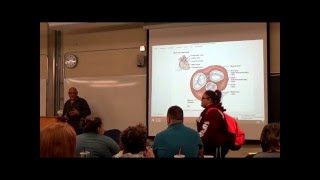 Human Anatomy The Heart II & Vascular Systems Lecture