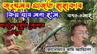 গাওঁৰ সুন্দৰ পৰিবেশ //জংঘলৰ মাজত এটা ভয় লগা অৱস্থা//বাহৰ চুঙাত বনাই খাব লগা হ'ল @ranjankhura