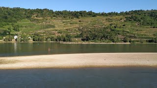 Cherry Diversity at the Middle Rhine/Germany (Prunus cerasus, P. mahaleb, P. avium)