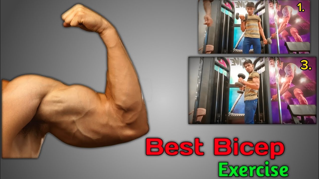 Grow Bicep Fast Youtube