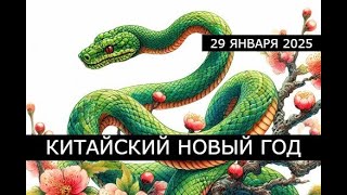 Китайский Новый год 2025 - Год Змеи || Ягья для Нага Деви 29 января 2025 || 20.00 по Мск