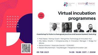 Virtual incubation programmes - Hubs series workshop