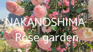 【OSAKA】大阪中之島バラ園 NAKANOSHIMA rose garden【JAPAN】