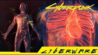 Cyberpunk 2077 - Where can you get Bionic Lungs Legendary Cyberware