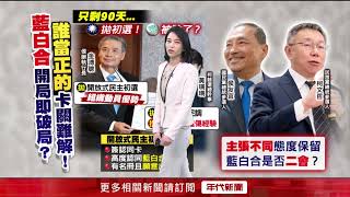 藍拋「民主初選」推最強王牌　黃珊珊舉2黨「下場慘」