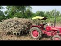 किसानों के लिए बड़ी खुशखबरी 2024 25 ke गन्ना कोल्हू हुए चालू farming kisan sugarcane गन्ना