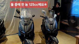 존테스125D 리뷰 350D와 125D 비교.