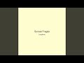 Sunset Fragile