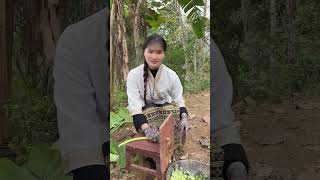 旅游在 云南 西双版纳的 大山里遇到了一位 找上门女婿的漂亮小姑娘  #中缅边境#六国交界#老挝山#记录真实生活 #乡村守护人 #我的乡村生