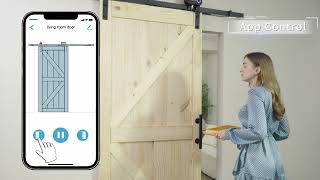 RoomTec Smart Barn Door Opener