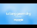 hauno tui bang gawm ding feat. vanzzzo official audio