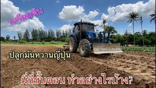 มันหวานญี่ปุ่น ขั้นตอนการเตรียมดิน | ไร่ดลรนี | Lek Ketanon