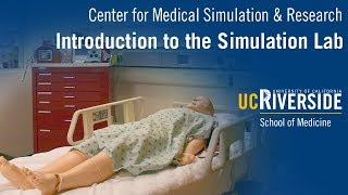 UCR SOM Simulation Lab Introduction